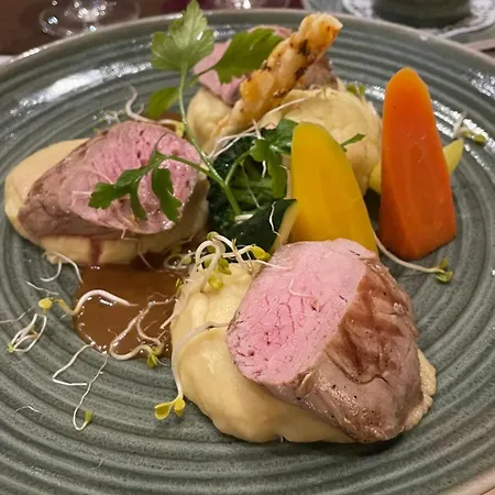 Hotel Ringhotel Neustaedter Hof Schwarzenberg (Saxony)