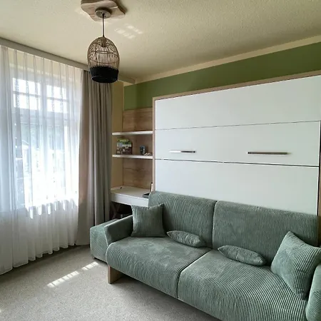 Ringhotel Neustaedter Hof Hotel Schwarzenberg (Saxony)