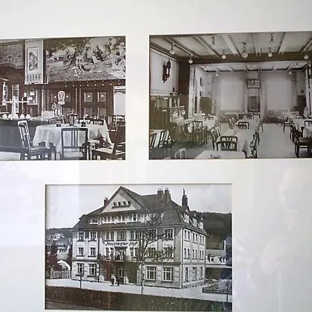 Ringhotel Neustaedter Hof 4*