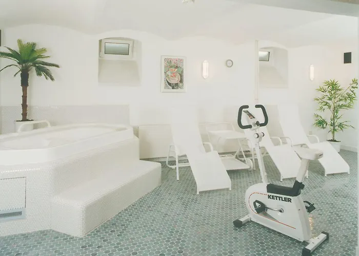 Neustadter Hof Schwarzenberg (Saxony)